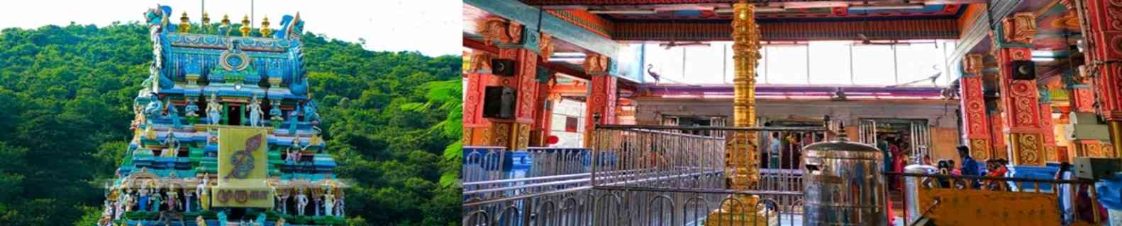 Kodimaram/